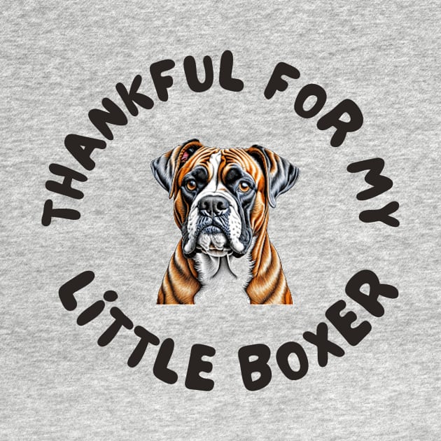 Thankful for my little boxer by IOANNISSKEVAS